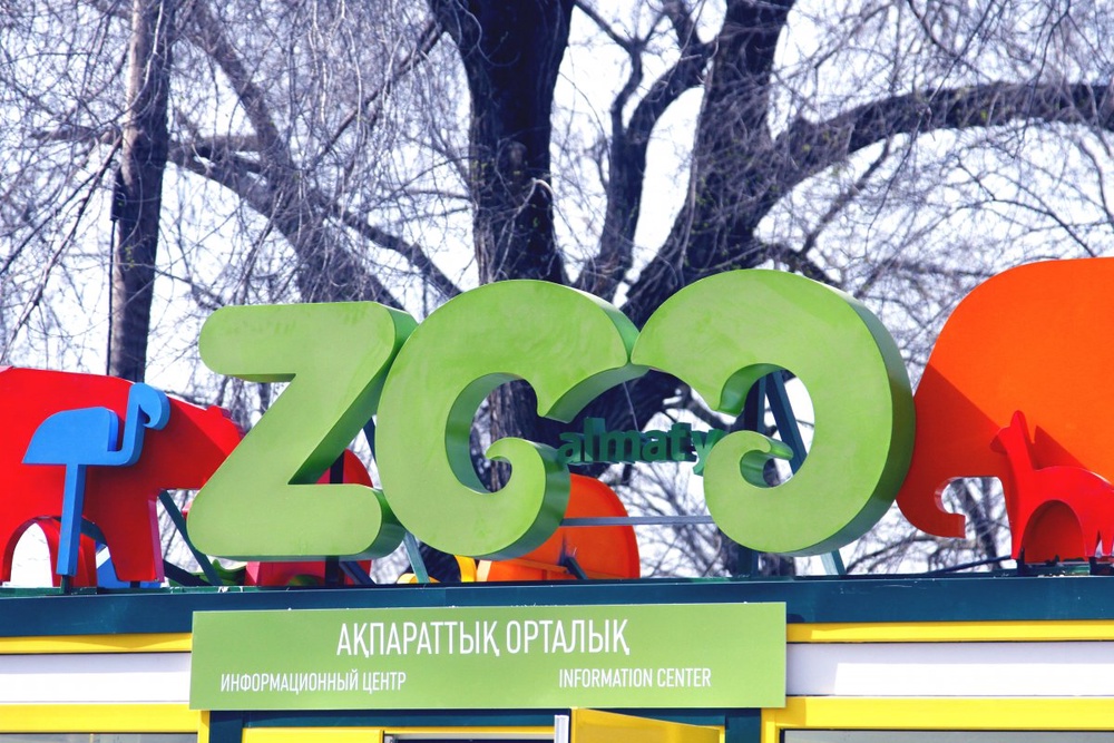 Зоопарк Алматы. ©Айжан Тугельбаева