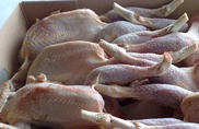 В Казахстане ограничен ввоз птицеводческой продукции из России