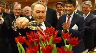 Тюльпаны "Президент Назарбаев" подарили Главе государства
