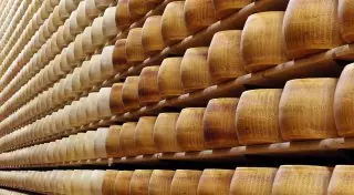 19 тонн транзитного польского сыра не пустила Россия в Казахстан