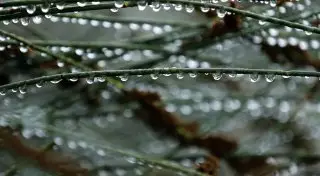 Погода в Казахстане: Дожди ожидаются в ближайшие дни