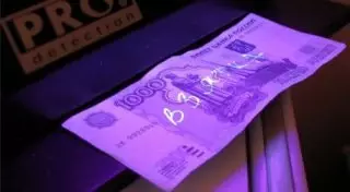 Казахстанца оштрафовали в России за покушение на дачу взятки инспектору ДПС