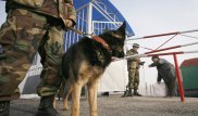 Казахстан откроет границу с Кыргызстаном в рамках ЕАЭС не раньше осени