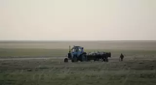 Число погибших сайгаков в Акмолинской области возросло до 2 тысяч