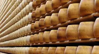 78 тонн сыра из Казахстана не пустили в Россию