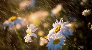 Погода в Казахстане: Ожидаются кратковременные дожди и жара