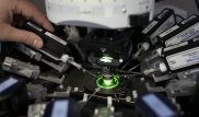 Нанокапсулы для доставки лекарств в организм разработали в Казахстане