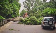 Во время урагана в Алматы были повреждены 7 автомобилей