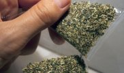400 тысяч доз синтетических наркотиков уничтожила прокуратура Алматы