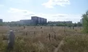 Акимат Павлодара отсудил спорное кладбище у смотрительницы
