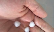 Град прогнозируют синоптики в Алматинской области