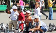 День защиты детей в Алматы отметят цирковым шоу и концертами