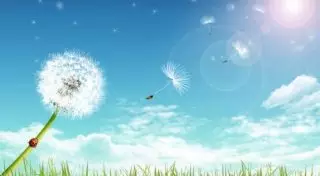 О погоде в Казахстане на июнь рассказали синоптики