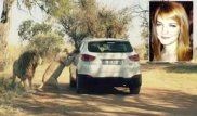 Нападение львицы на редактора "Игры престолов" попало на камеру