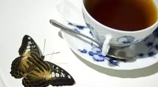 Казахстанцам рекомендуют решать трудовые споры за чашкой чая