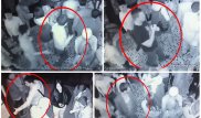 Свидетель драки у ночного клуба Алматы рассказал о ноже в руках погибшего