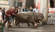 15 июня объявлено Днем траура в Грузии