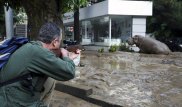 Более 300 обитателей зоопарка Тбилиси погибли в результате наводнения