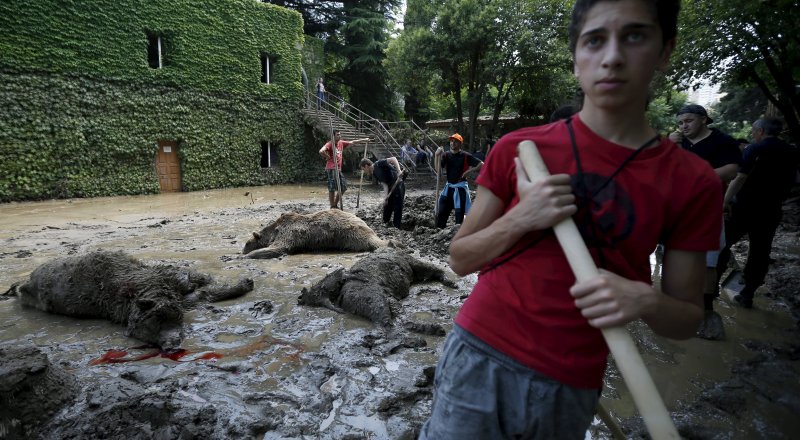 Наводнение в Тбилиси унесло жизни 15 человек и более 300 животных зоопарка. © Reuters
