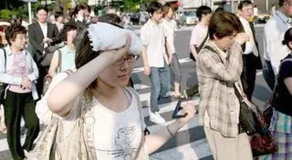 Около 780 человек госпитализированы из-за небывалой жары в Японии