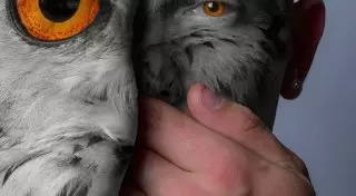 Разбудите в себе зверя