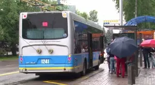 Выделенная полоса для автобусов ущемляет права автовладельцев Алматы - адвокат