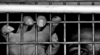 Египетские заключенные помилованы в связи с Рамаданом