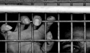 Египетские заключенные помилованы в связи с Рамаданом