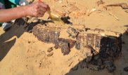 Атырауские студенты нашли тысячелетнюю могилу вождя огузов