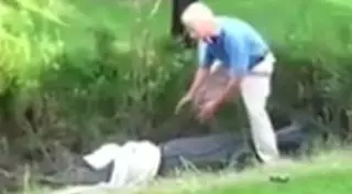 Гольфист едва не погиб при попытке отнять мяч у аллигатора