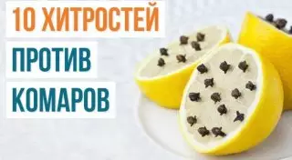 Как бороться с комарами и их укусами