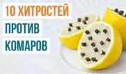 Как бороться с комарами и их укусами