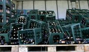 Двое россиян украли и выпили почти 1,3 тысячи бутылок пива