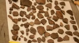 Археологическая сенсация времен бронзового века найдена в Акмолинской области