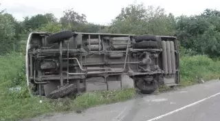 Автобус опрокинулся из-за стада овец на дороге в Костанайской области