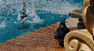 Где в Казахстане в июне было максимально жарко