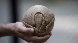 18 фотографий, которые вы вряд ли видели прежде