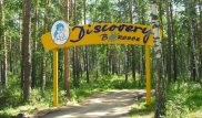 О последствиях драки в детском лагере в Боровом рассказало руководство