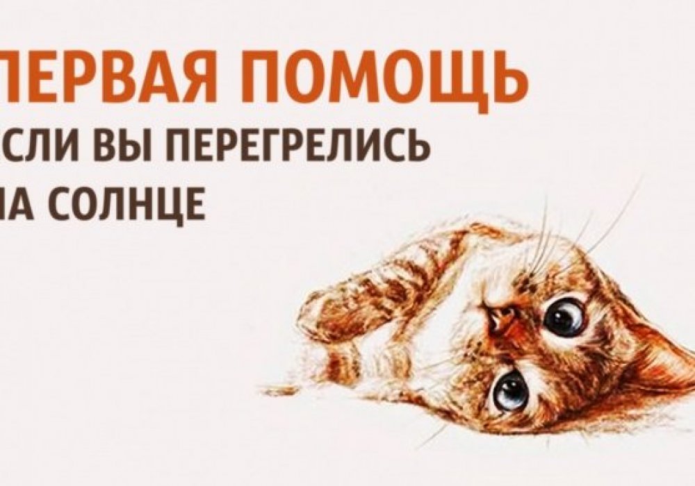 Иллюстрация с сайта adme.ru
