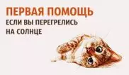Что делать, если вы перегрелись на солнце