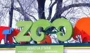 Алматинский зоопарк уйдет на реконструкцию в декабре