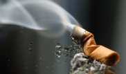 Гражданина Сирии осудили за брошенный окурок в Астане