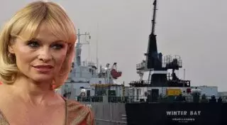 Письмо Памелы Андерсон Путину не осталось без ответа