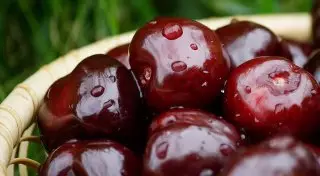 Вишня могла стать причиной группового отравления детей в Костанайской области