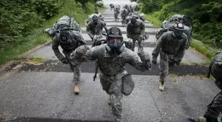 Условия для службы трансгендеров в армии разработают в США