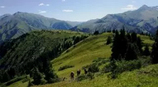 Из-за жары в горах Алматинской области возможны селепроявления