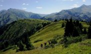 Из-за жары в горах Алматинской области возможны селепроявления