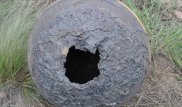 На месте мора сайгаков нашли еще один загадочный шар
