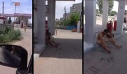 Голый мужчина разгуливал по Павлодару