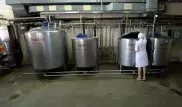 Завод по переработке кобыльего молока под Карагандой заработает в августе
